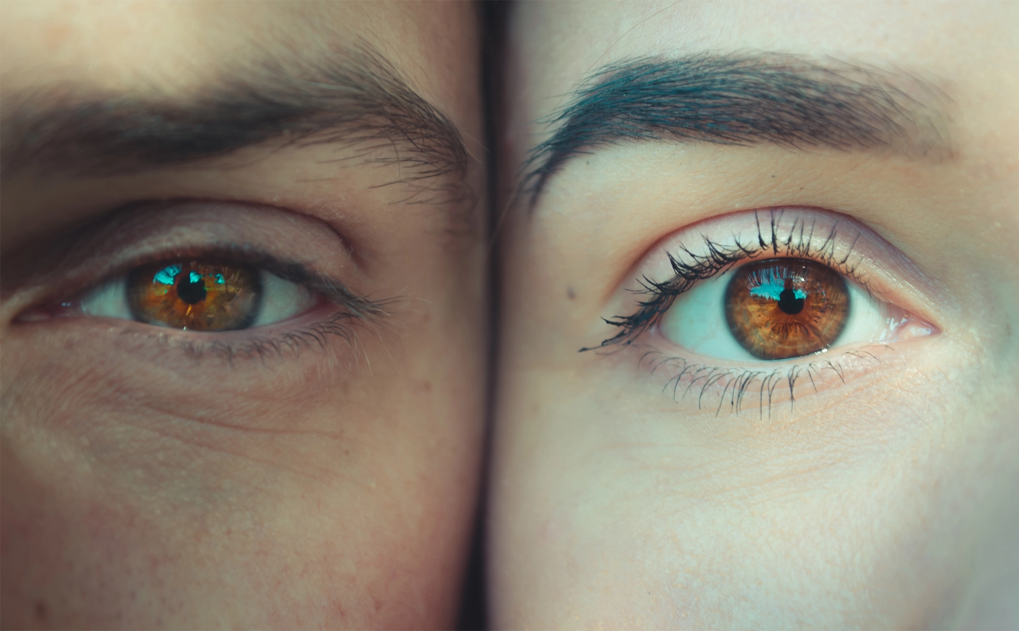 Ofac+ Assurances compagnie d'assurance dans la Wallonie en Belgique - frontaliers