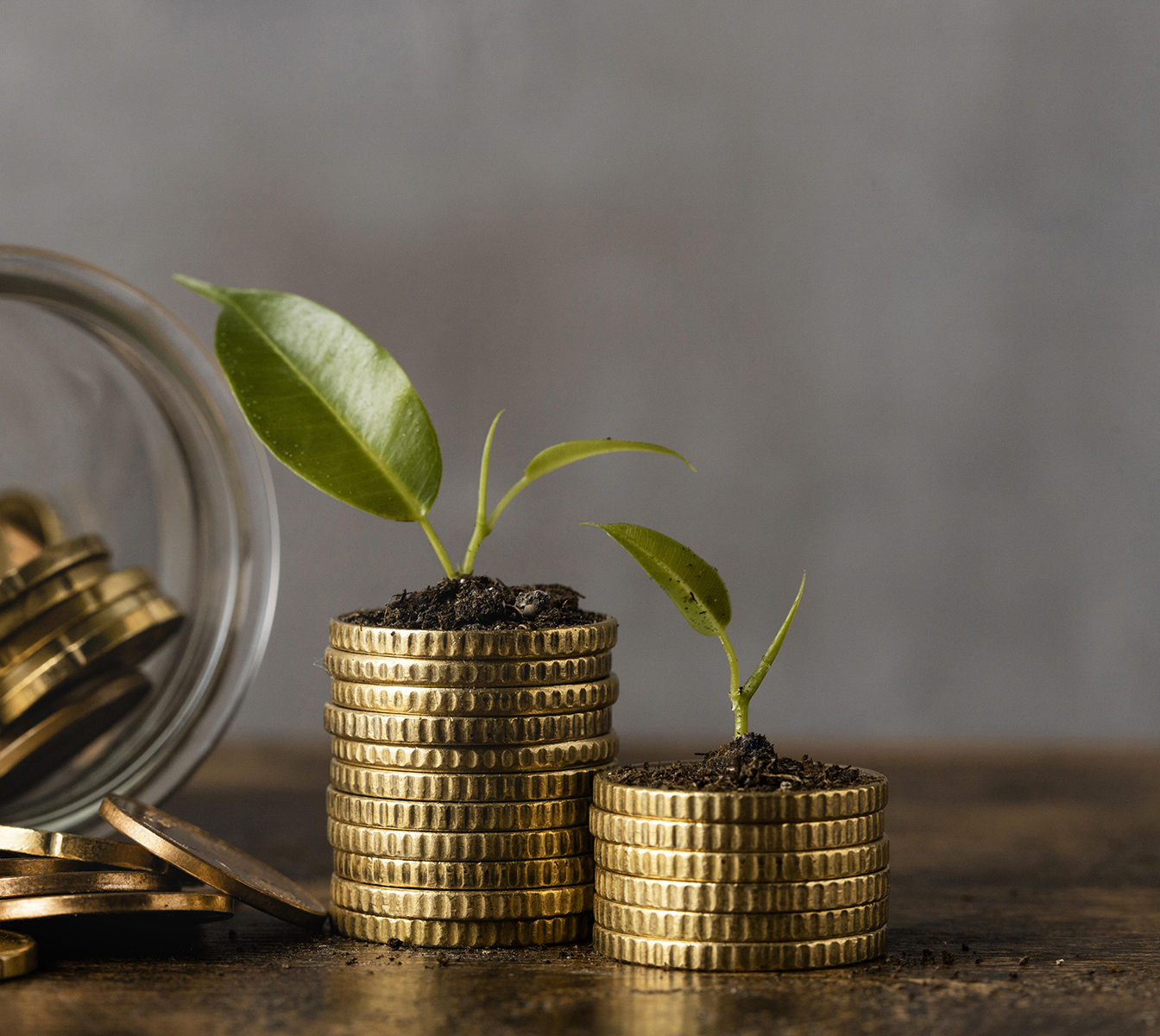 Ofac+ Assurances compagnie d'assurance dans la Wallonie en Belgique - crédit voiture